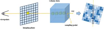 Dynamic typhoon visualization based on the integration of vector and scalar fields